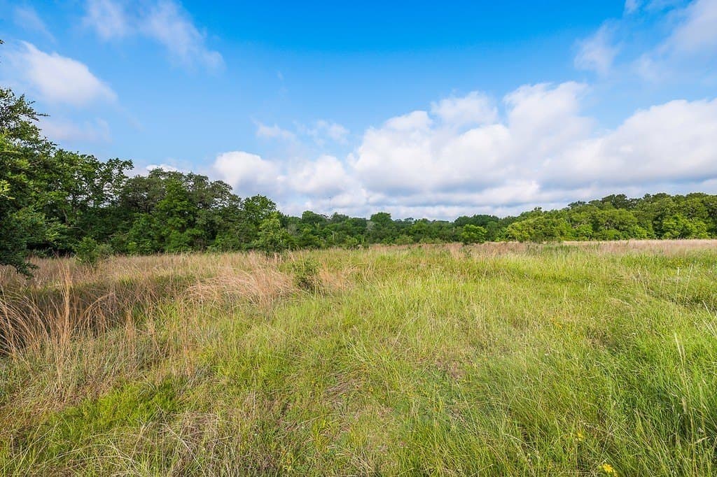 10 acres in Fayette County - photo 4