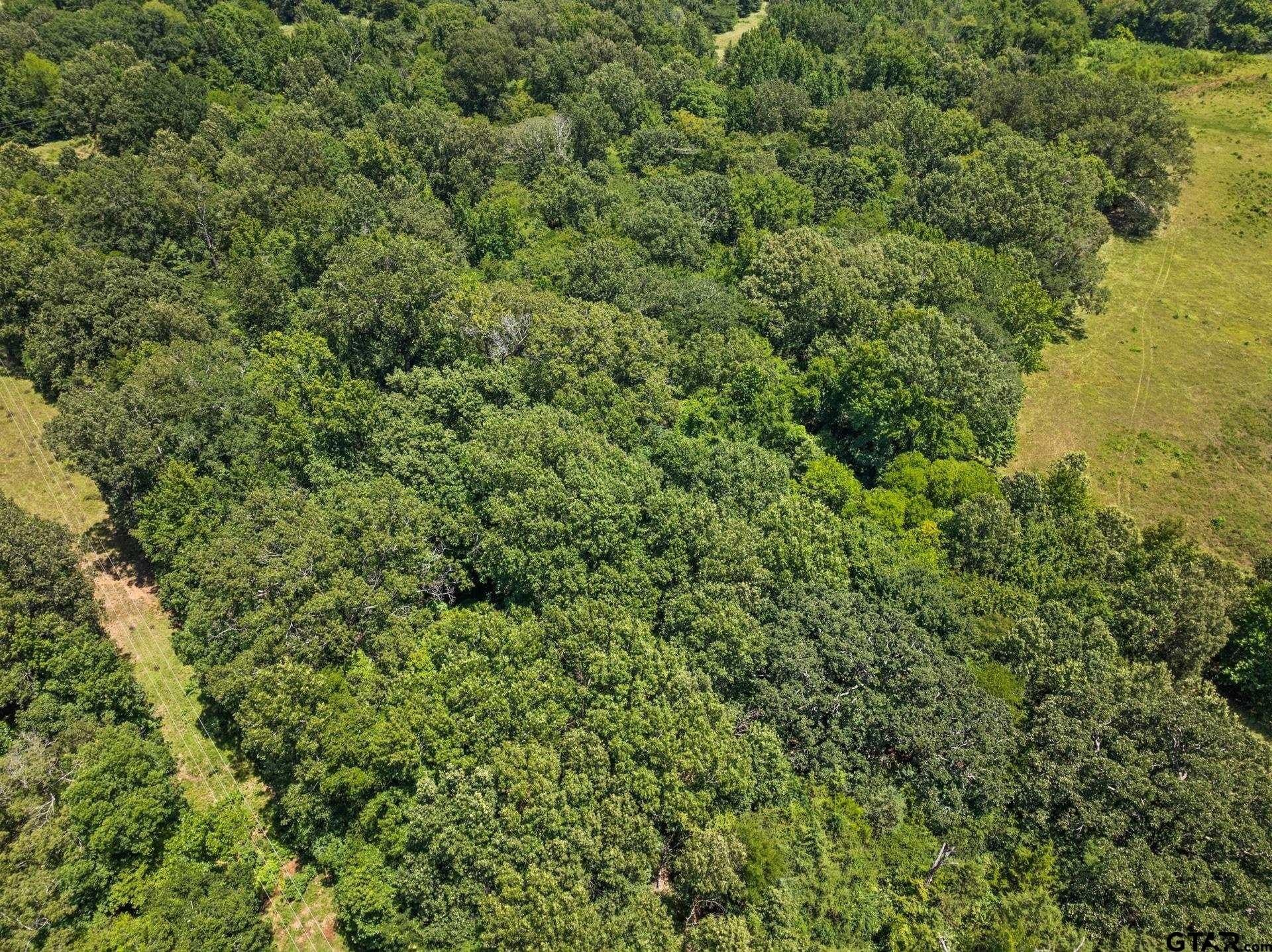 107 acres in Titus County - photo 10