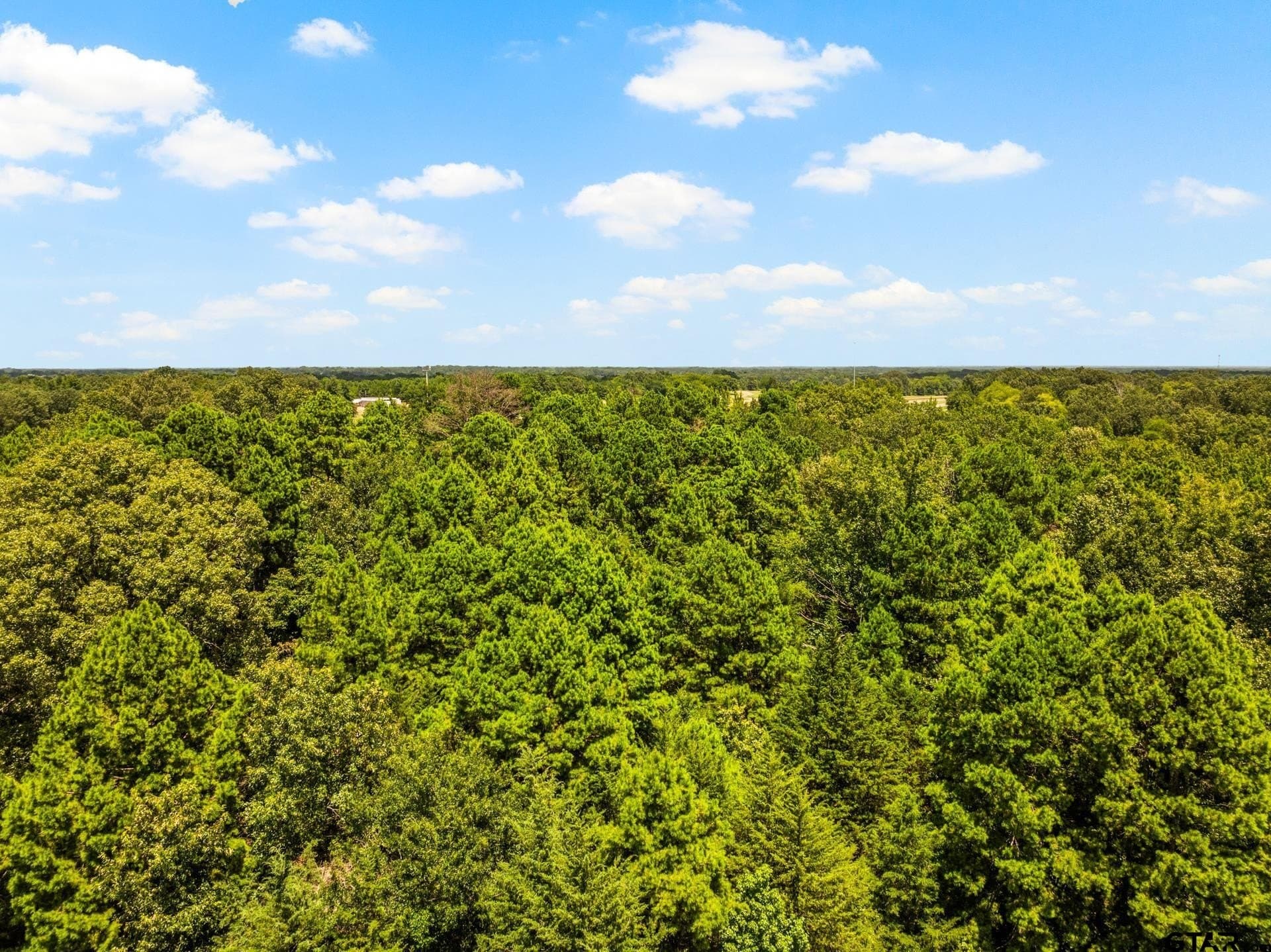 107 acres in Titus County - photo 25