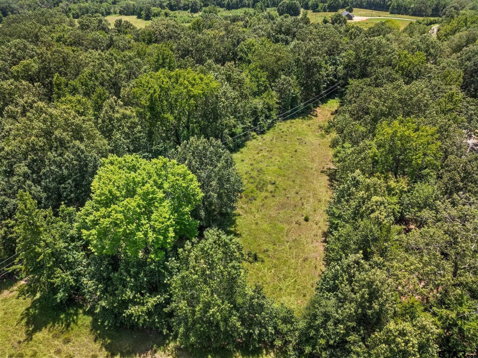 107 acres in Titus County - photo 9