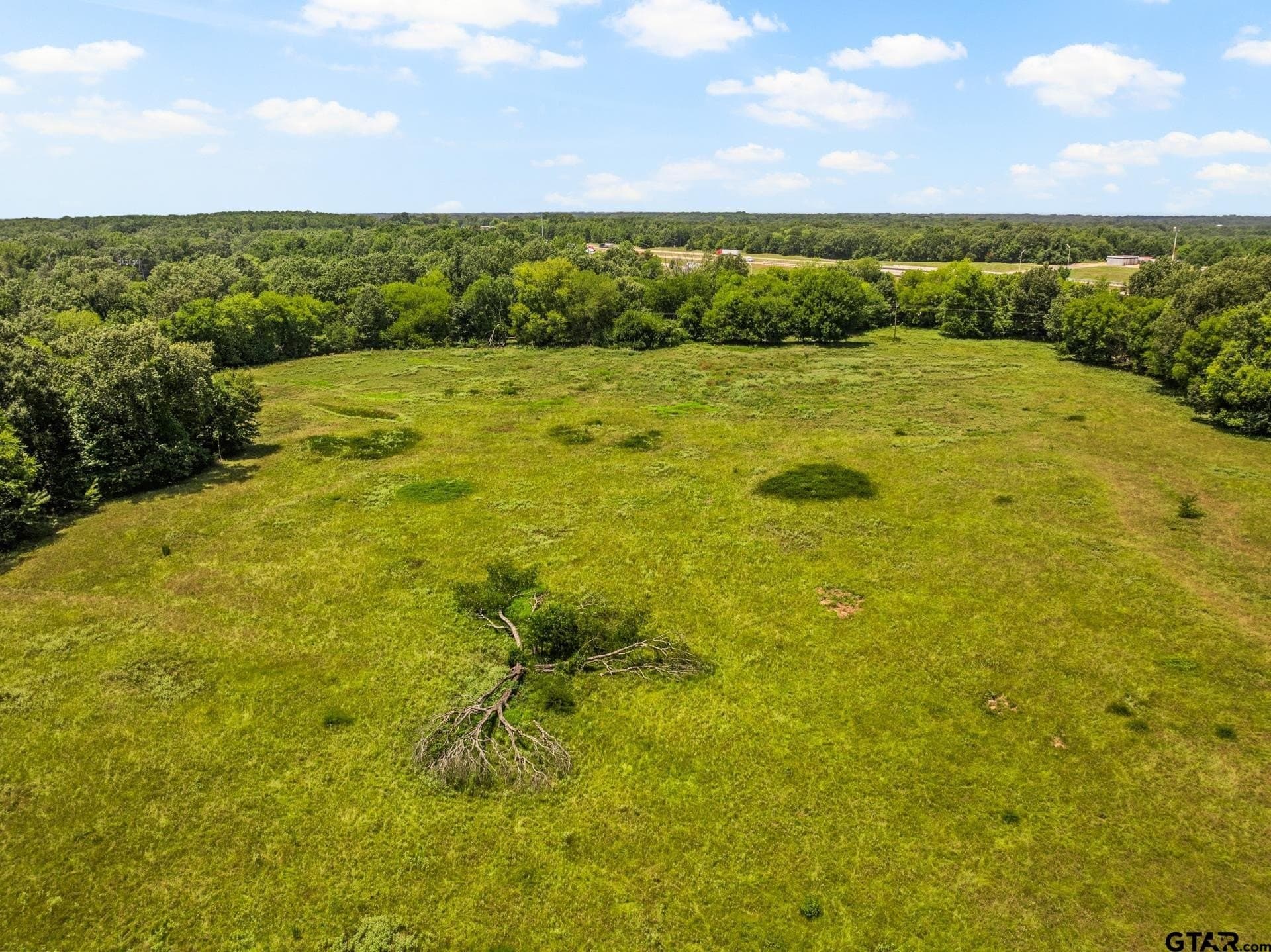 107 acres in Titus County - photo 15