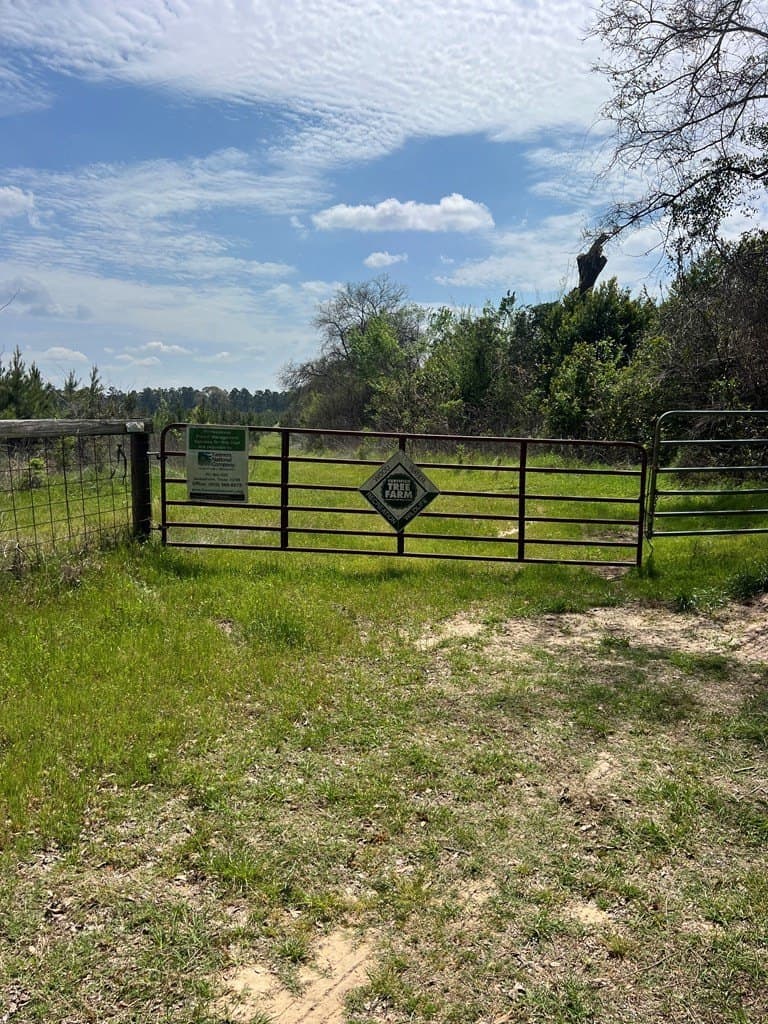 136.5 acres in Cherokee County - photo 2