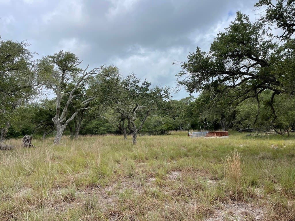 0 acres in Texas County - photo 12