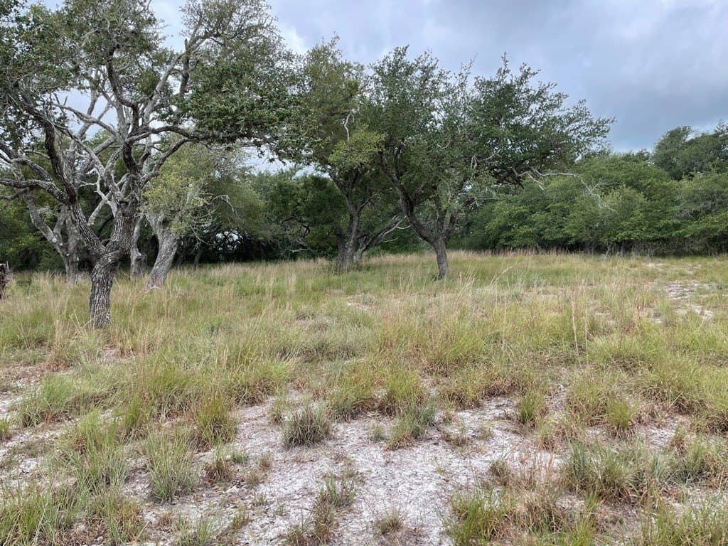 0 acres in Texas County - photo 14