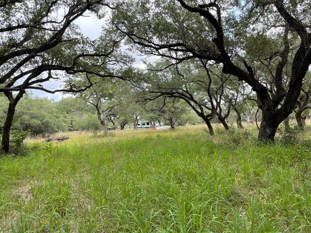 0 acres in Texas County - photo 17