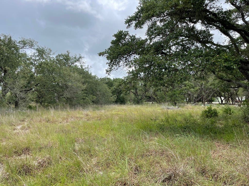 0 acres in Texas County - photo 13