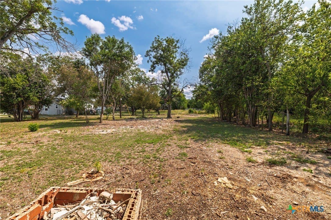 0.11 acres in Guadalupe County - photo 18