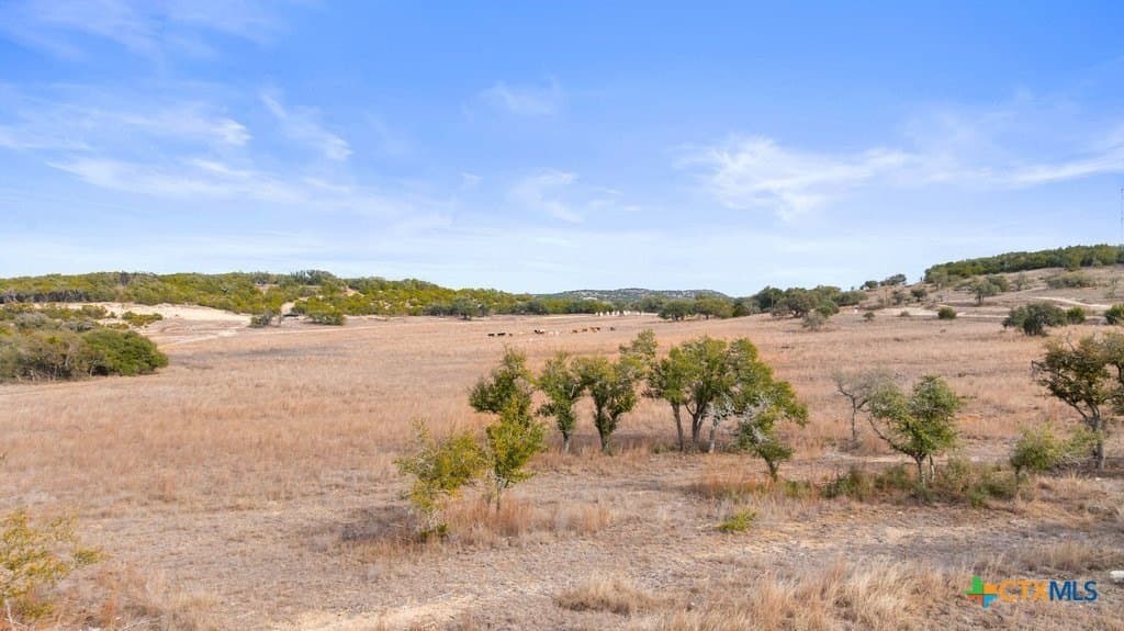 10.52 acres in Hays County - photo 18