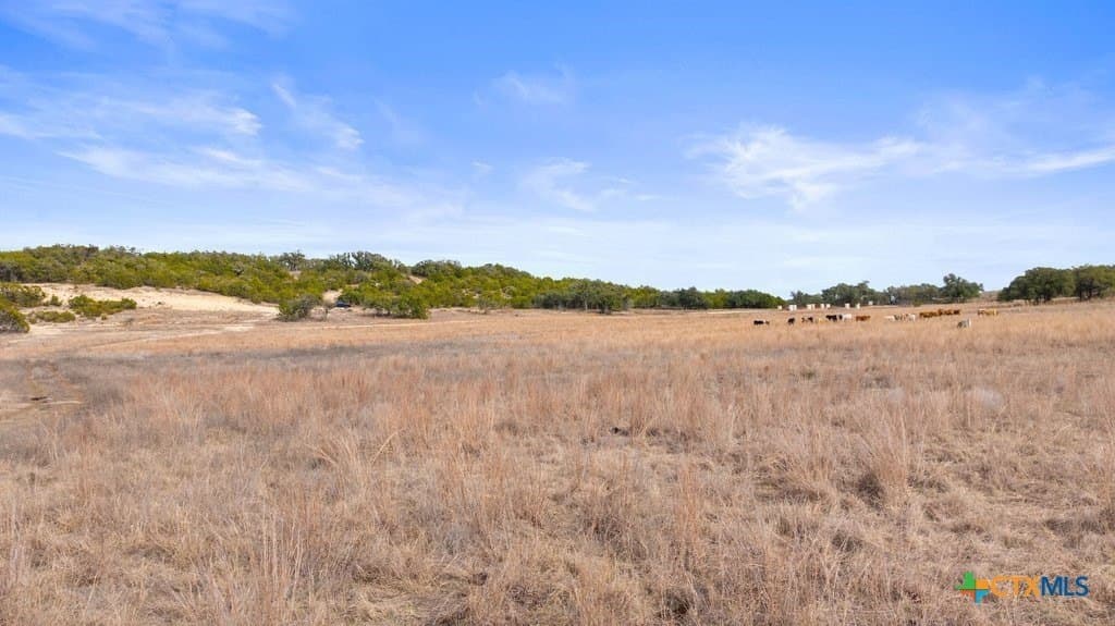 10.52 acres in Hays County - photo 14