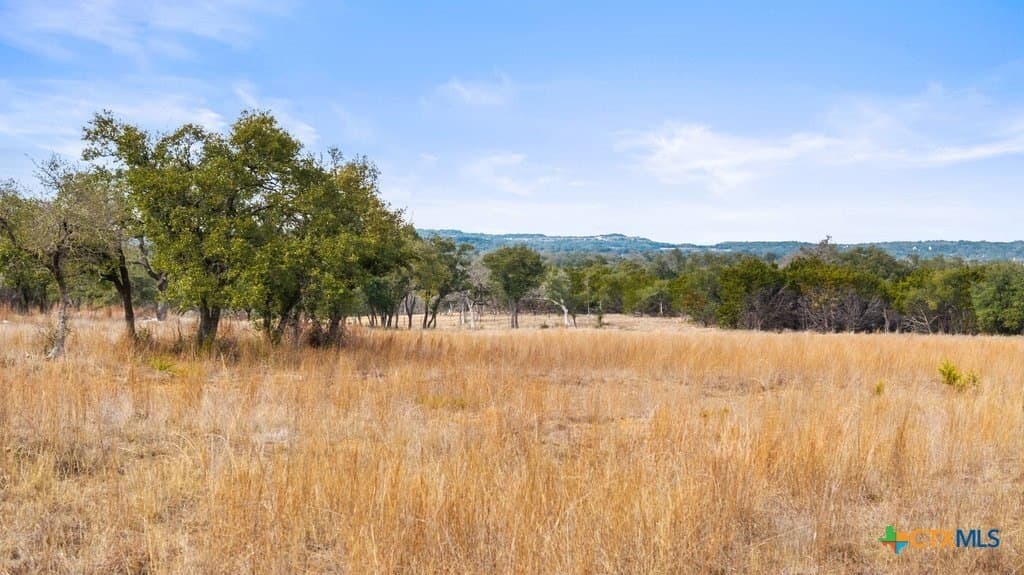 10.52 acres in Hays County - photo 10
