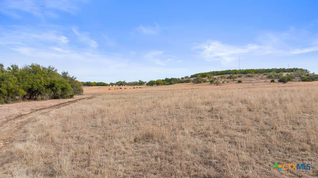 10.52 acres in Hays County - photo 13