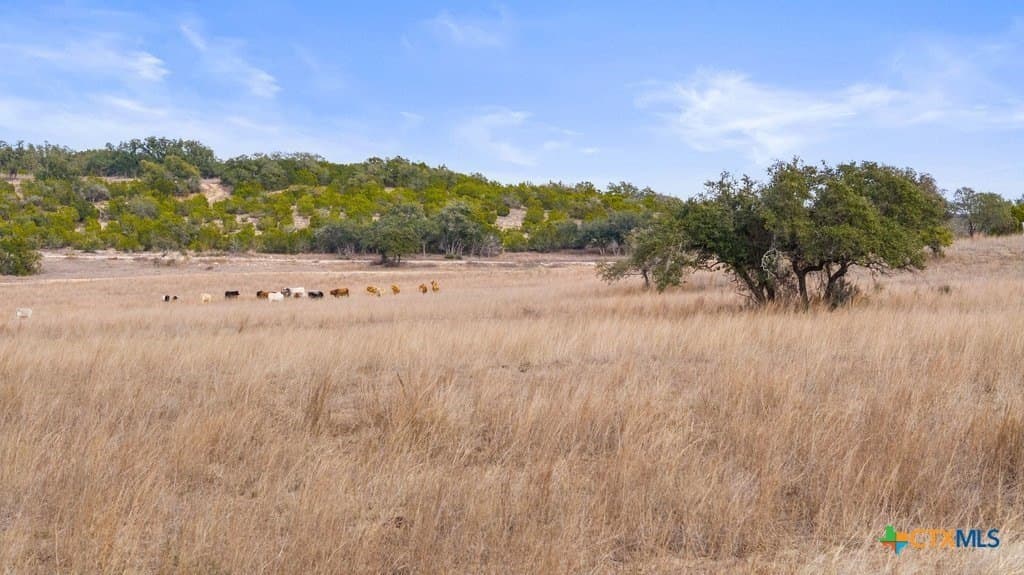 10.52 acres in Hays County - photo 3