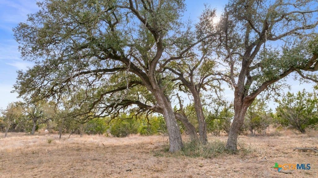 10.52 acres in Hays County - photo 19
