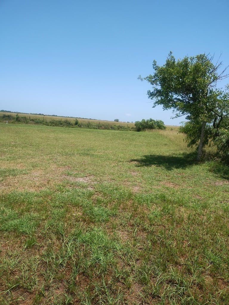 0.21 acres in Texas County - photo 3