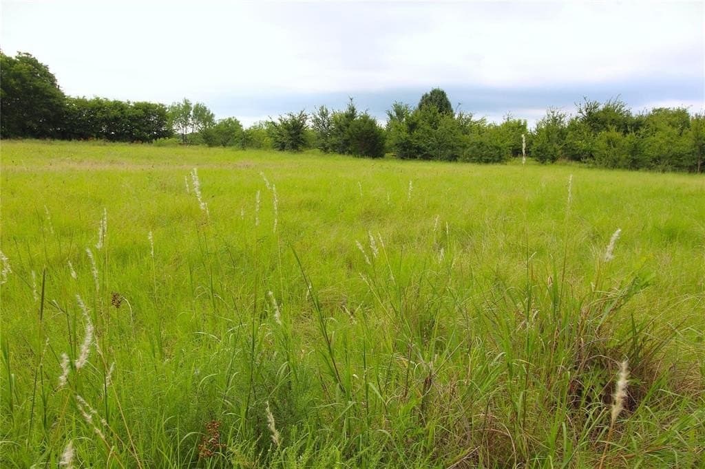 2.37 acres in Kaufman County - photo 11