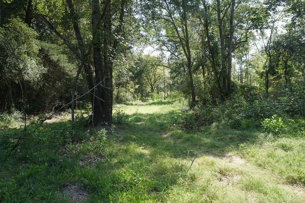 5.07 acres in ANDERSON County - photo 5