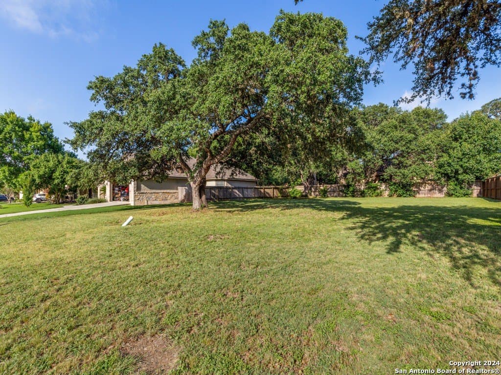 218 LONE TREE