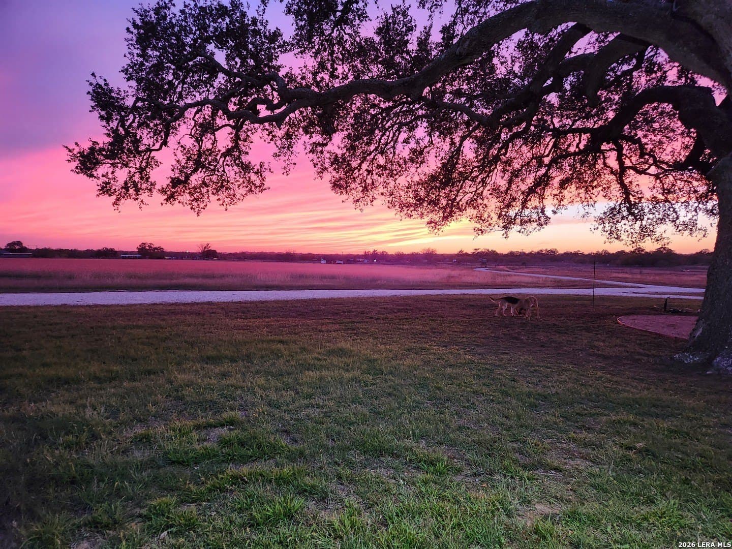 20.28 acres in Atascosa County - photo 24