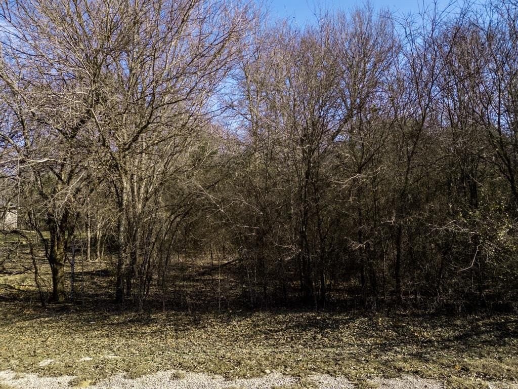 0.13 acres in Hill County - photo 2