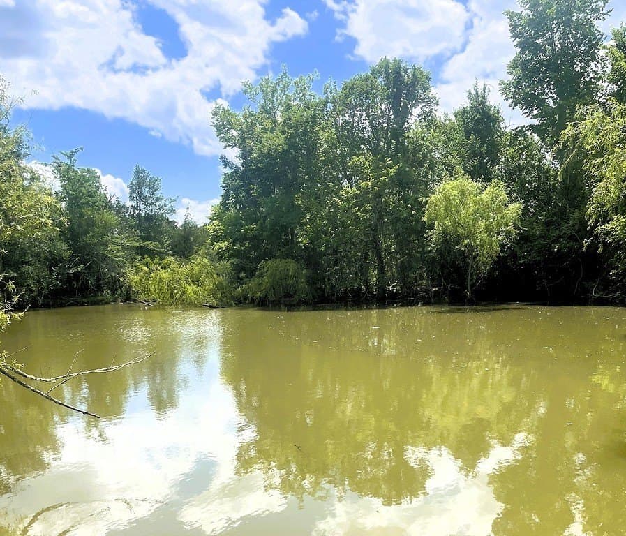 38.1 acres in Lavaca County - photo 14