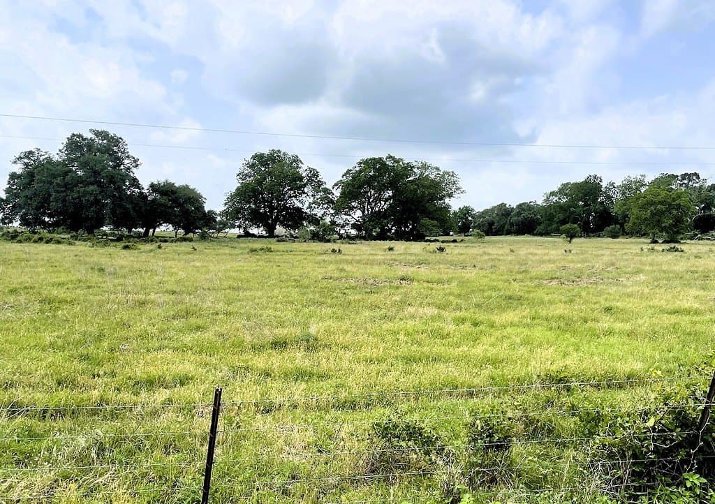 38.1 acres in Lavaca County - photo 16