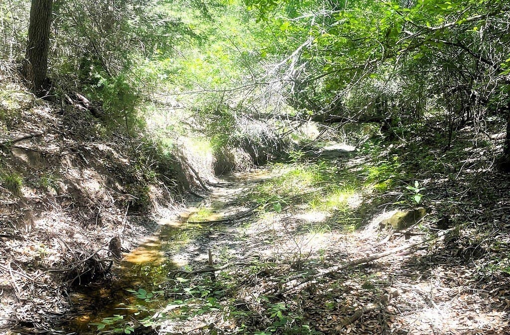 38.1 acres in Lavaca County - photo 24