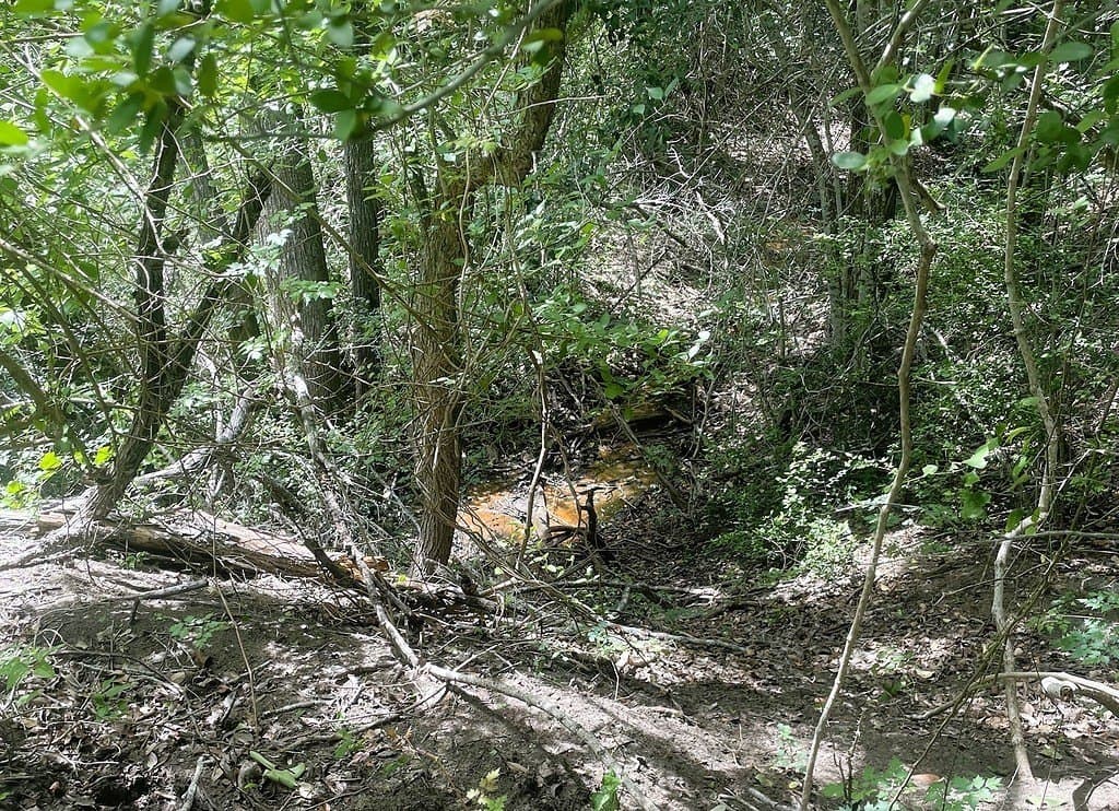38.1 acres in Lavaca County - photo 22