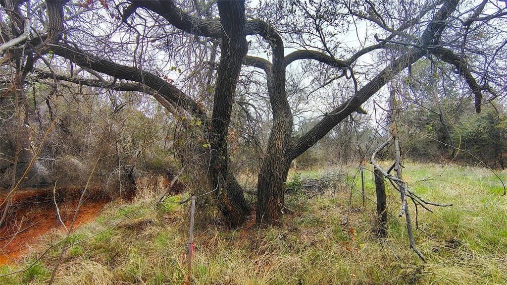 19.28 acres in Taylor County - photo 29