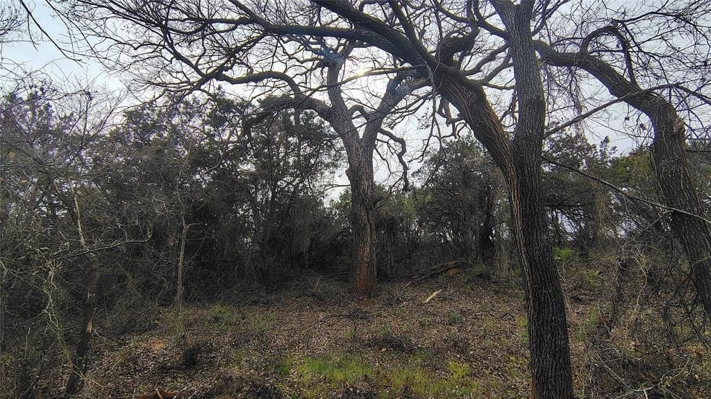 19.28 acres in Taylor County - photo 30