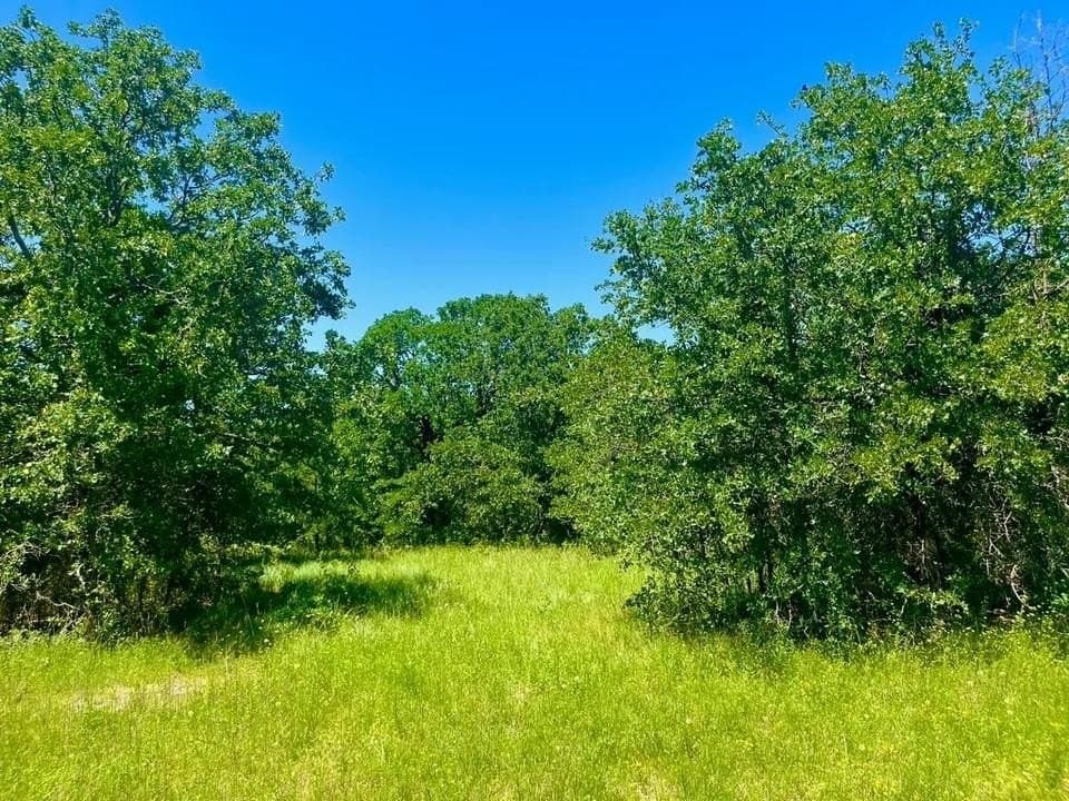 2.1 acres in Parker County - photo 3