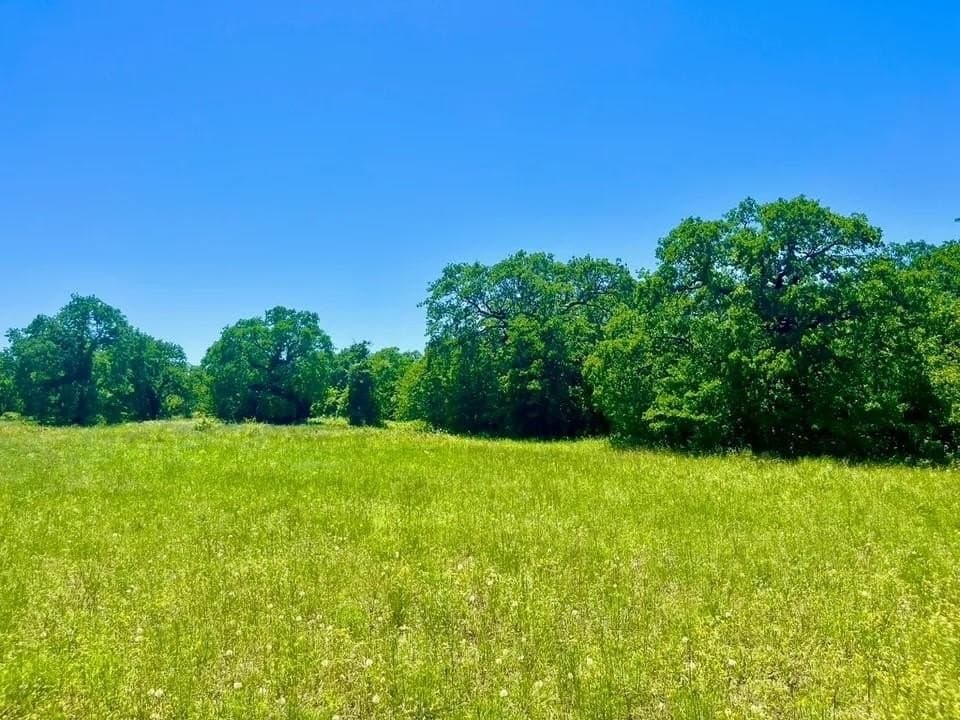 2.1 acres in Parker County - photo 2