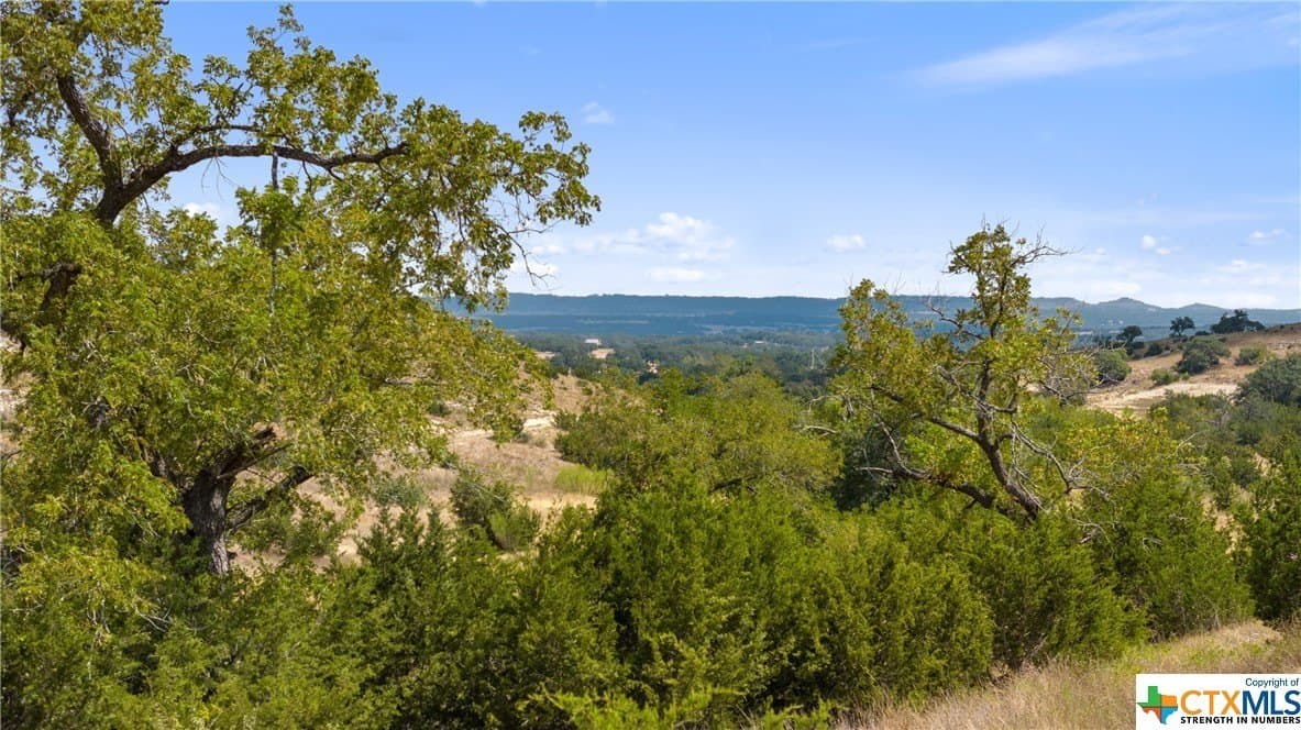 5.75 acres in Blanco County - photo 6