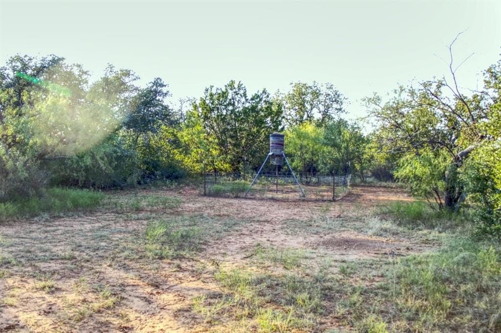 167 acres in Young County - photo 17