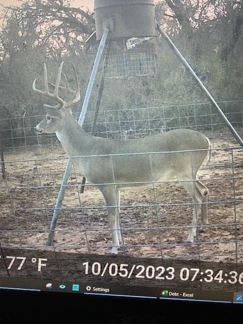 167 acres in Young County - photo 38