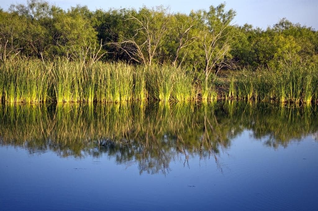 167 acres in Young County - photo 2