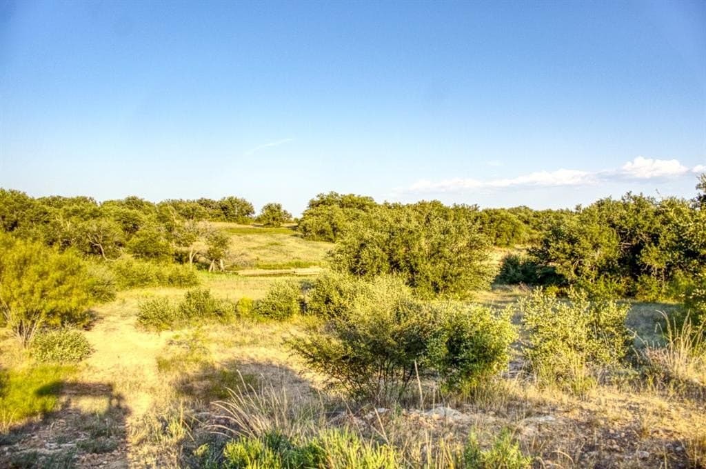 167 acres in Young County - photo 16
