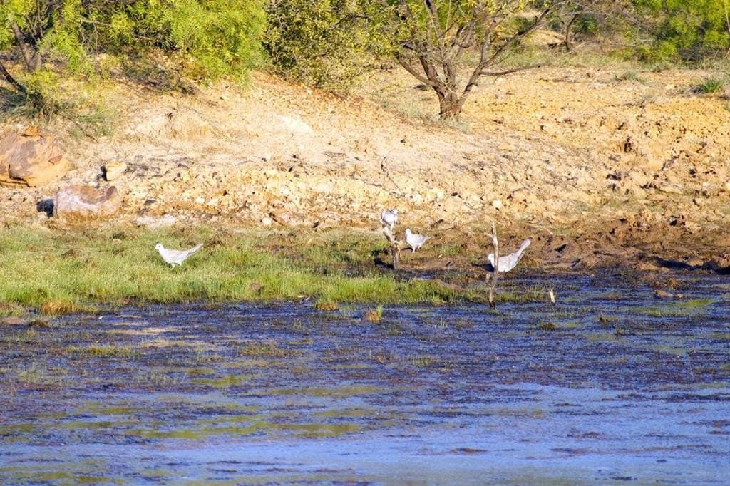 167 acres in Young County - photo 32