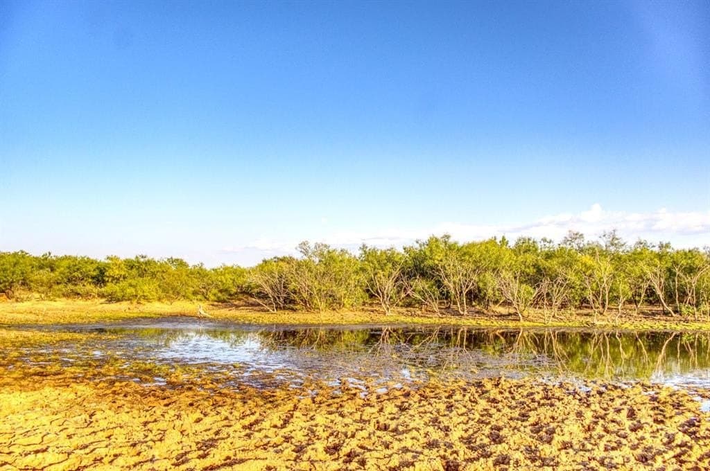 167 acres in Young County - photo 29