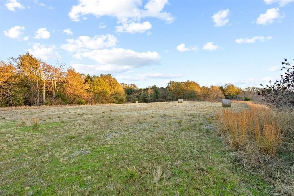 31.19 acres in Fannin County - photo 7