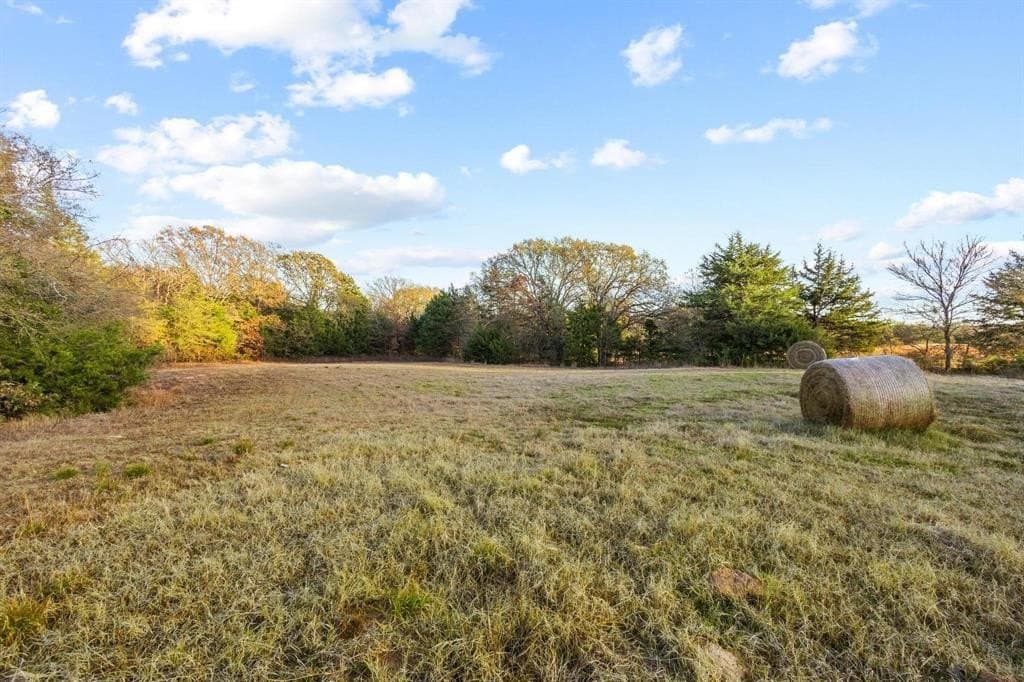 31.19 acres in Fannin County - photo 17
