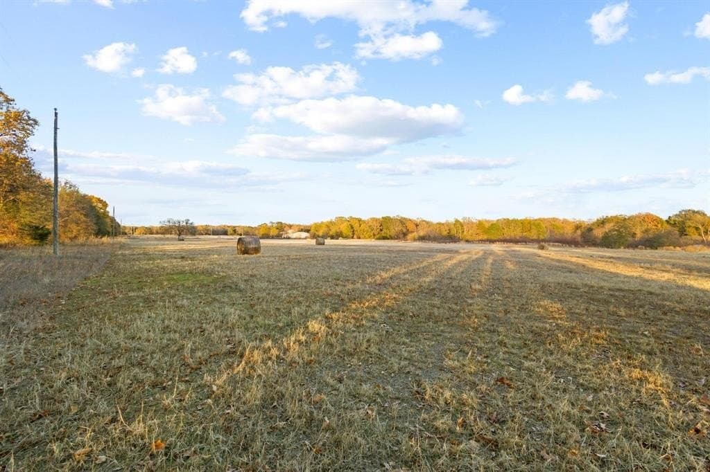 31.19 acres in Fannin County - photo 4