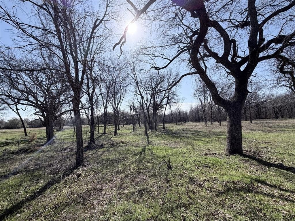 3 acres in Hill County - photo 3