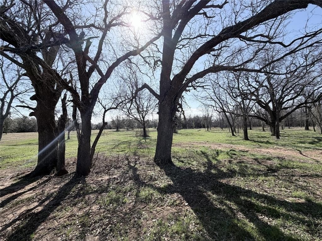 3 acres in Hill County - photo 2