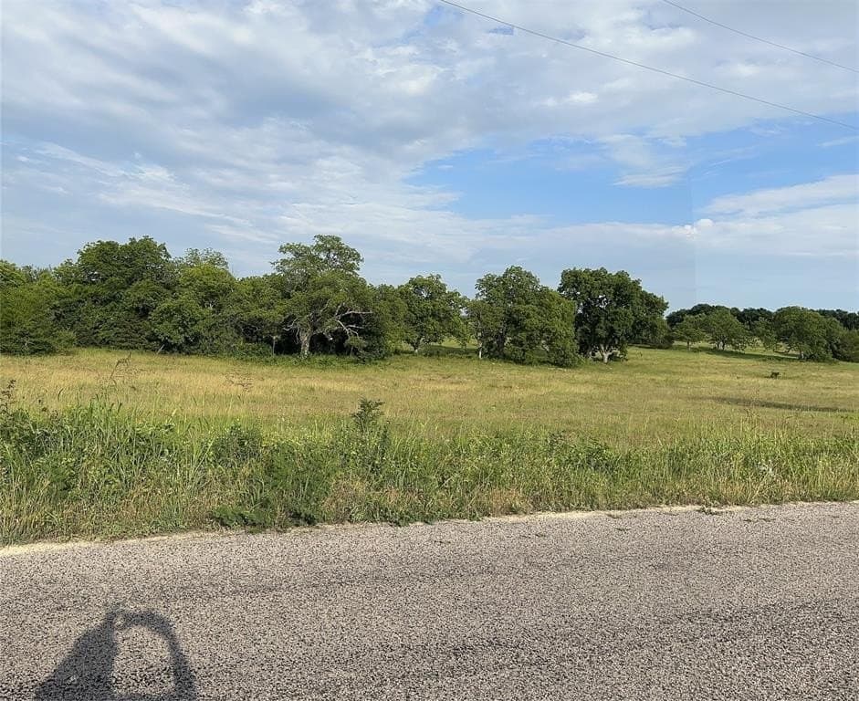 80.78 acres in Grayson County - photo 5