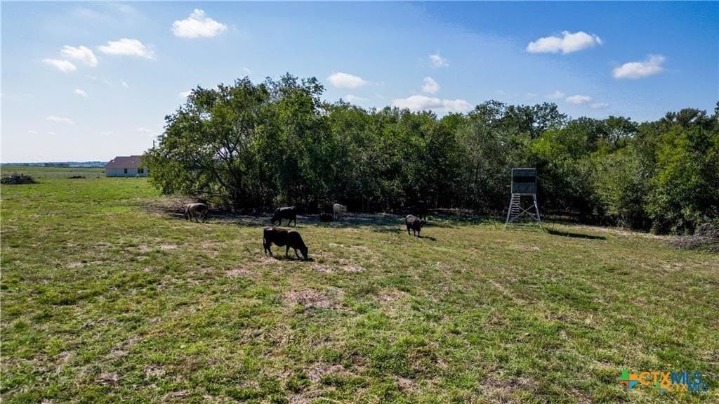 138 acres in Guadalupe County - photo 7