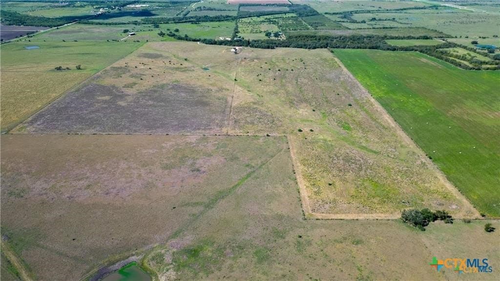 138 acres in Guadalupe County - photo 11