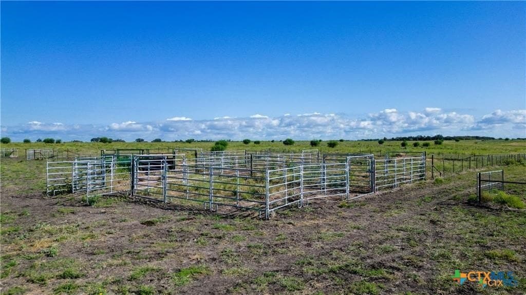 138 acres in Guadalupe County - photo 9