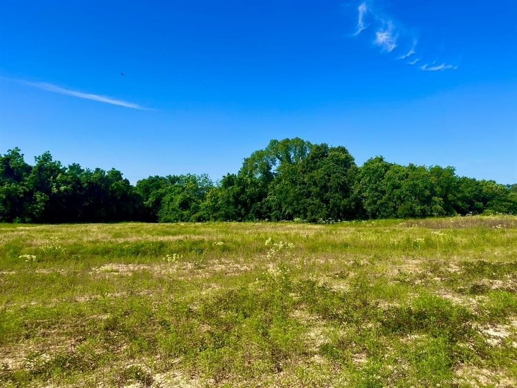 2 acres in Parker County - photo 3