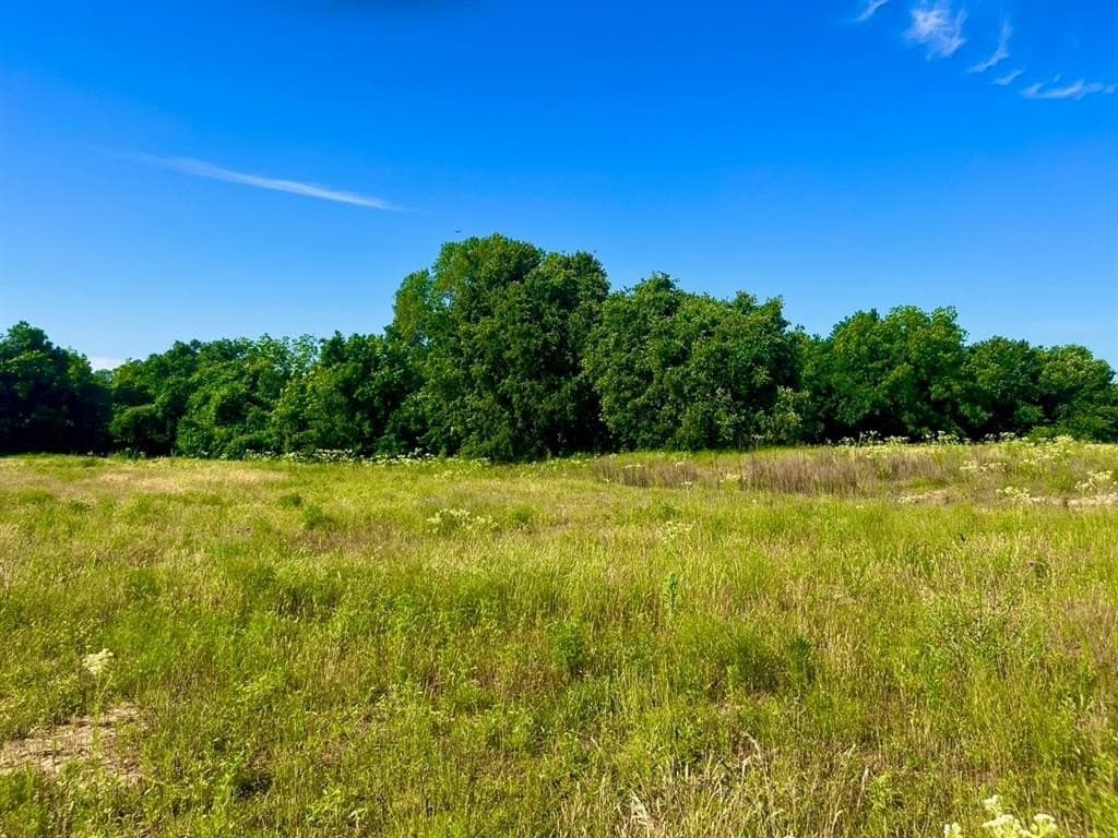 2 acres in Parker County - photo 2
