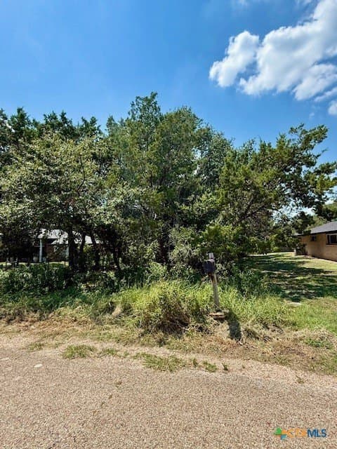 0.22 acres in Bell County - photo 2